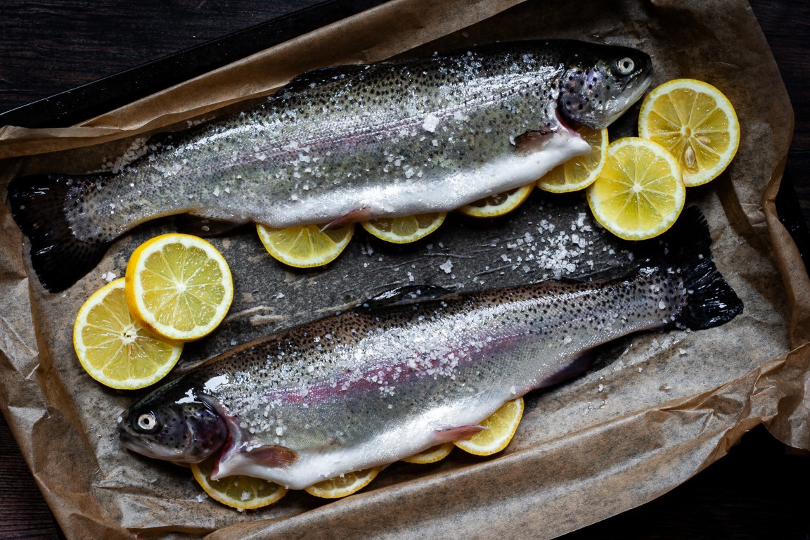 Dive into Dorset's Aquaculture Heritage at Houghton Springs Trout Farm